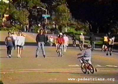 Photo - Bicyclists, pedestrians, and skaters in Golden Gate Park