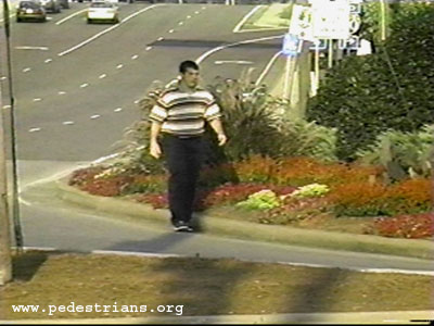 Photo - landscaping up to curb blocks pedestrians