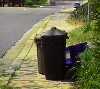 Photo - Garbage cans (2457 bytes)
